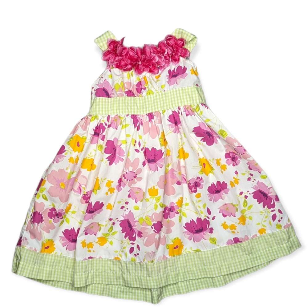 Blueberi Boulevard Pink and Green Floral Dress Size 4